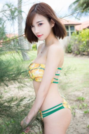 二龙湖浩哥之大战古惑仔