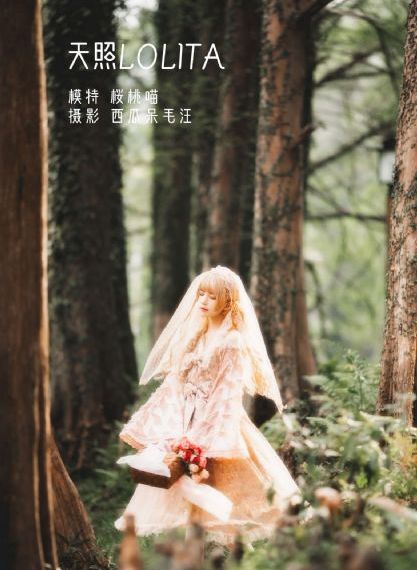 战至巅峰第一季免费观看完整版