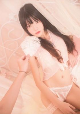 综艺免费观看
