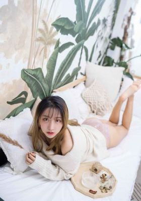 扫黑风暴电视剧在线观看免费
